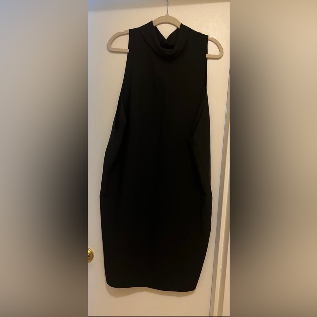 Issey Miyake Dress Sleeveless